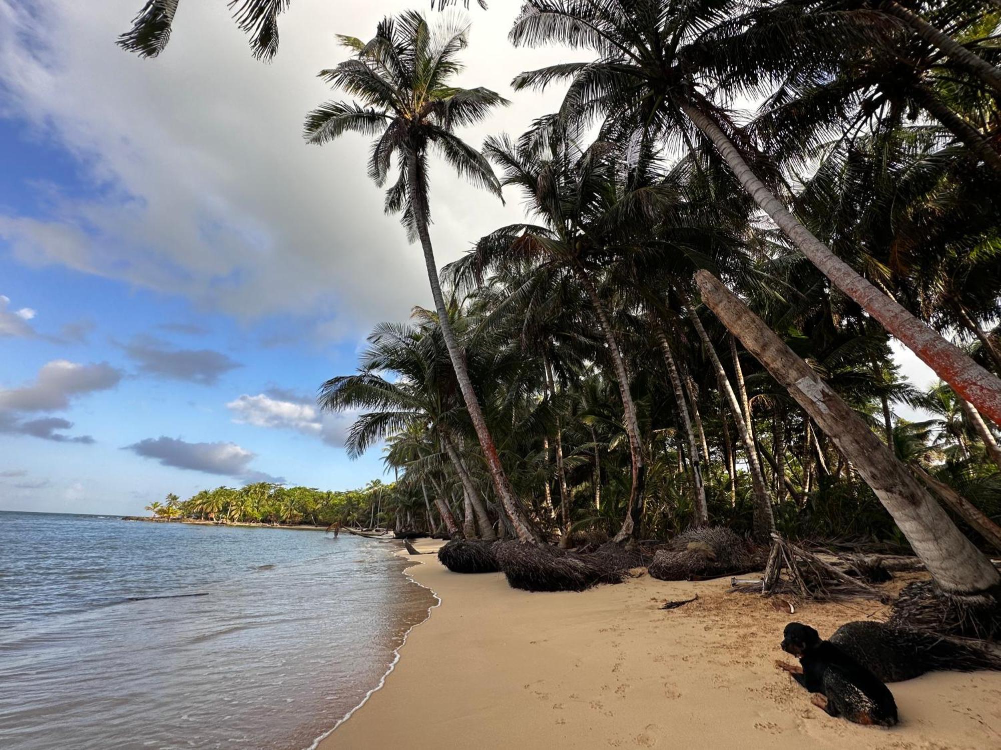 Ensuenos Natural Reserve Little Corn Island Nicaragua Eksteriør billede